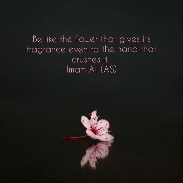 040-Ghafir