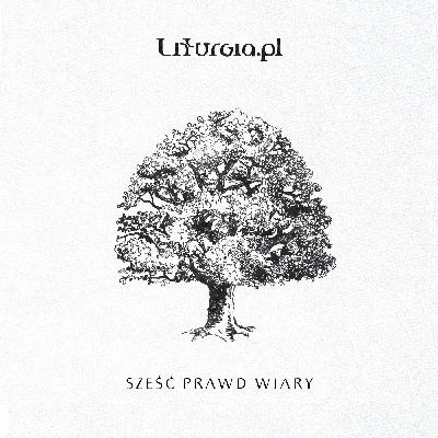 6 prawd wiary - 6 prawda na Niedzielę Palmową w Roku Wiary