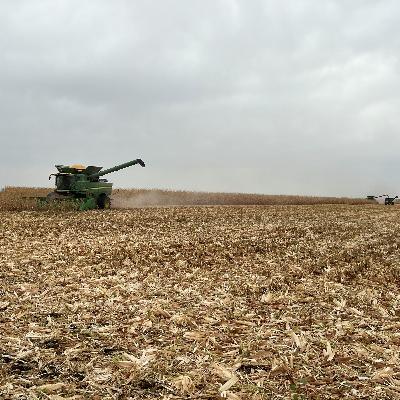 Afternoon Ag News, November 20, 2025: Harvest running behind in North Dakota and Nebraska