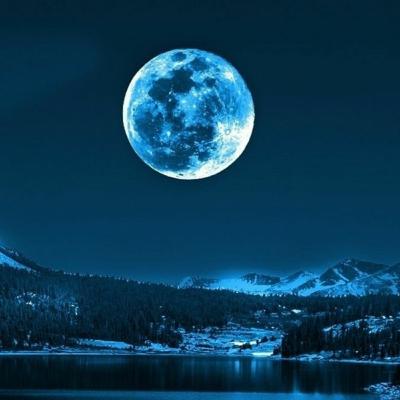 Meu diario Meu diario