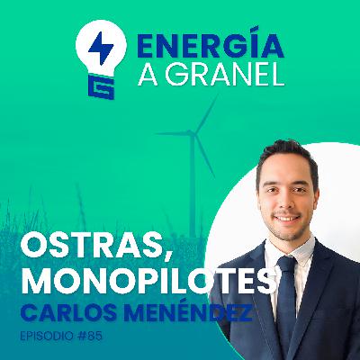 «Ostras, monopilotes», con Carlos Menéndez #85