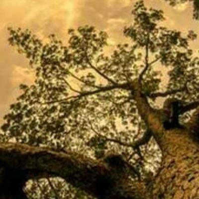 Solution of Life Problems