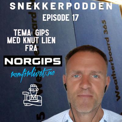 Norgips m/Knut Lien Norgips m/Knut Lien