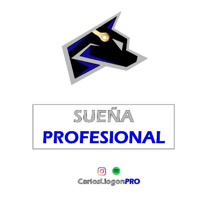 SUEÑA PROFESIONAL SUEÑA PROFESIONAL