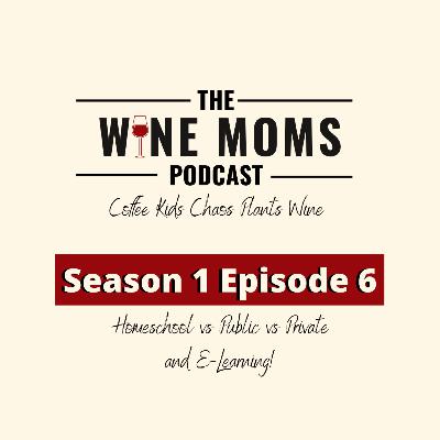 Homeschool? Public School? Private School? E-Learning! Let's discuss it all!