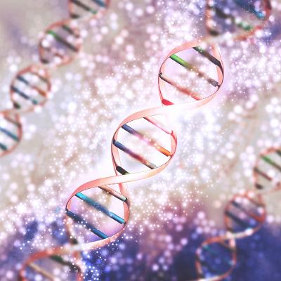 Alliance Bioéthique  2025-11-21 I.V.G et avortement