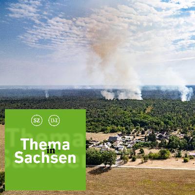 Großbrand in der Gohrischheide - Menschen, die Lage und die Folgen