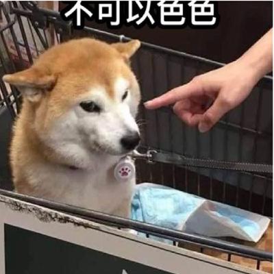 來都來了?!與凱文的秘密邂逅及一些未公開的故事 FEAT.我的情慾日記