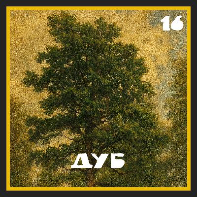 Бортныя хронікі | Тэрміналогія | Дуб