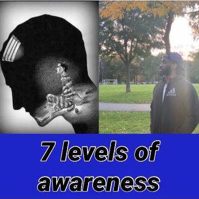 7 levels of awareness