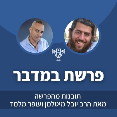 פרק 33: פרשת במדבר