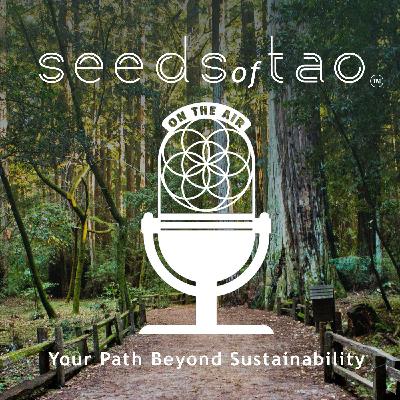 001: Welcome and Introduction to Seeds of Tao