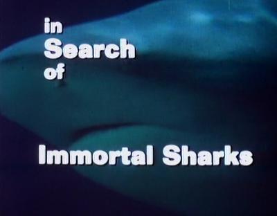 S04E05 - Immortal Sharks