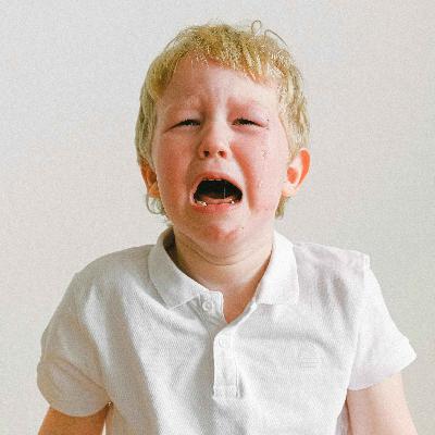 64. 两岁叛逆期 | Terrible Twos 64. 两岁叛逆期 | Terrible Twos