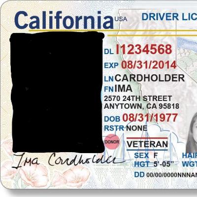 Fuck the DMV Fuck the DMV