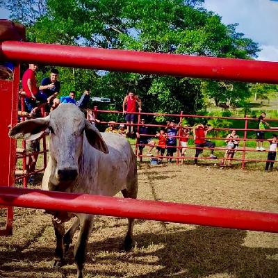 Éxitos Del Típico Panameño Parte 3: Cultura, Tradición y Costumbres. (Generación Actual) Éxitos Del Típico Panameño Parte 3: Cultura, Tradición y Costumbres. (Generación Actual)
