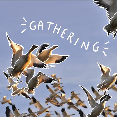Gathering (full episode)