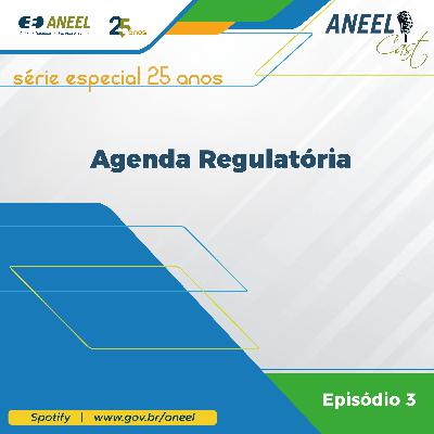 Série Especial ANEEL 25 anos - Agenda Regulatória