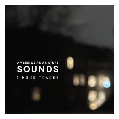 Ambience: Wind and rain sounds from Storm Pia’s visit in Danish city (1 hour) Ambience: Wind and rain sounds from Storm Pia’s visit in Danish city (1 hour)