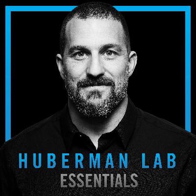 Essentials: The Biology of Taste Perception & Sugar Craving | Dr. Charles Zuker