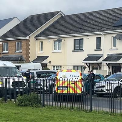 Bodies found in Dublin believed to be those of a father and daughter
