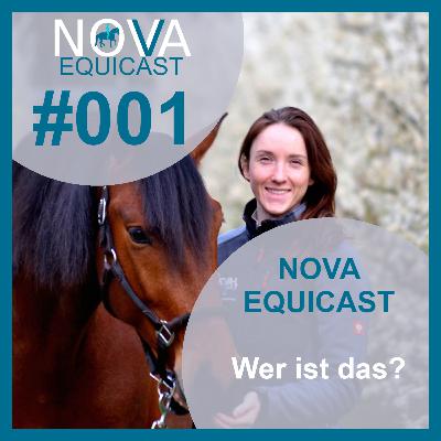 001 Wer? Was? Wo? Pilot!