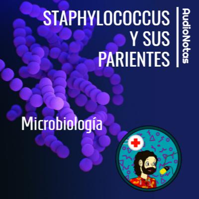 Microbiología: Staphylococcus y sus parientes