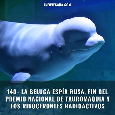 140- LA BELUGA ESPÍA RUSA, FIN DEL PREMIO NACIONAL DE TAUROMAQUIA Y LOS RINOCERONTES RADIOACTIVOS | Infovegana 140- LA BELUGA ESPÍA RUSA, FIN DEL PREMIO NACIONAL DE TAUROMAQUIA Y LOS RINOCERONTES RADIOACTIVOS | Infovegana