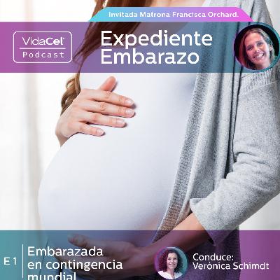 Expediente Embarazo: Embarazada en Contingencia Mundial