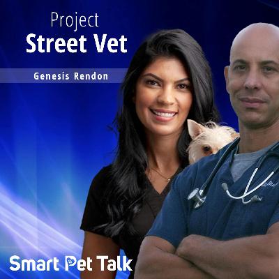 Project Street Vet Project Street Vet