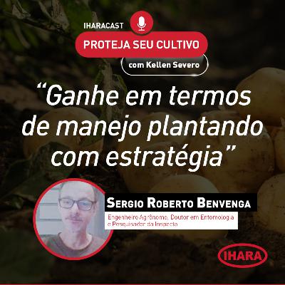 #40 - Fatores-chave para alta produtividade na cultura da batata
