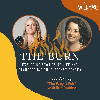 The Way It Felt with Erin Perkins The Way It Felt with Erin Perkins