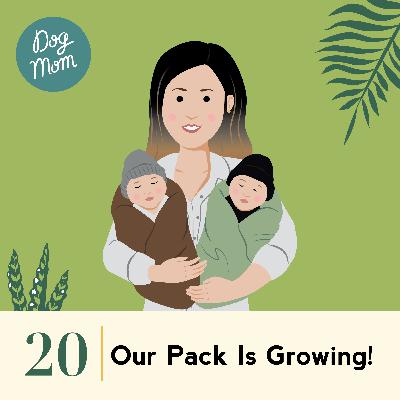 Ep #20 - Our Pack is Growing! Ep #20 - Our Pack is Growing!