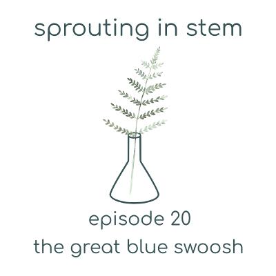 The Great Blue Swoosh