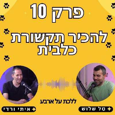 פרק 10 - מהי תקשורת כלבית נכונה? - פודקאסט ללכת על ארבע עם טל שלוש ואיתי ורדי אילוף כלבים פרק 10 - מהי תקשורת כלבית נכונה? - פודקאסט ללכת על ארבע עם טל שלוש ואיתי ורדי אילוף כלבים