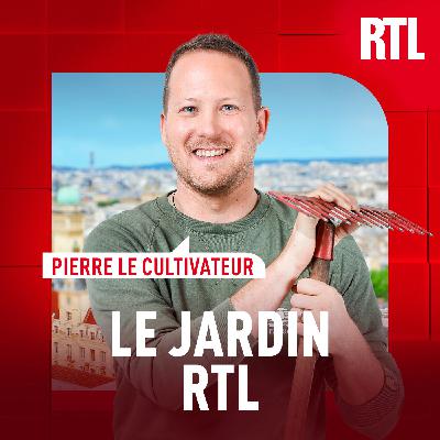 Comment préparer son potager pour l'automne ?