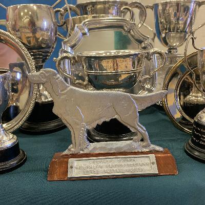 The Hampshire Gundog Show: an overview of working breeds