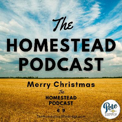 A Christmas Wish & Review