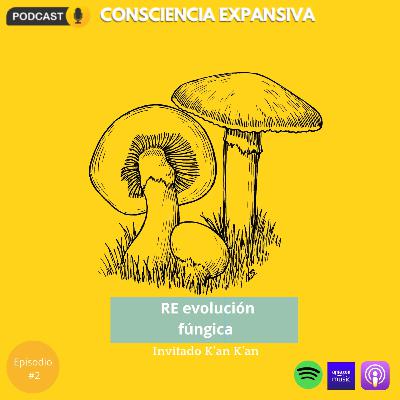 02 | Re evolución fúngica