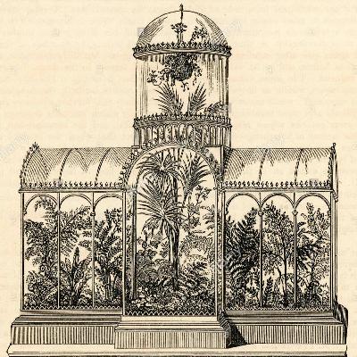 Episode 81: Robert Fortune, Tea Thief