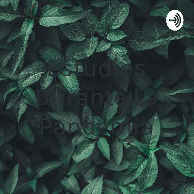 ¿Cómo avanzar en mis estudios durante la pandemia?