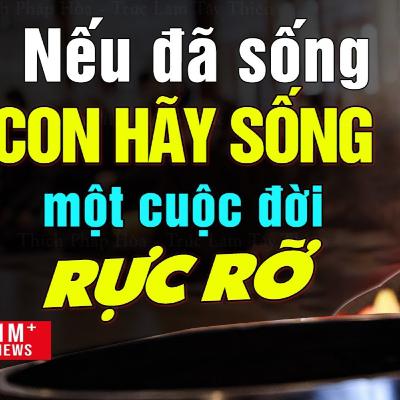Nếu đã sống con hãy sống một đời rực rỡ - Thầy Thích Pháp Hòa