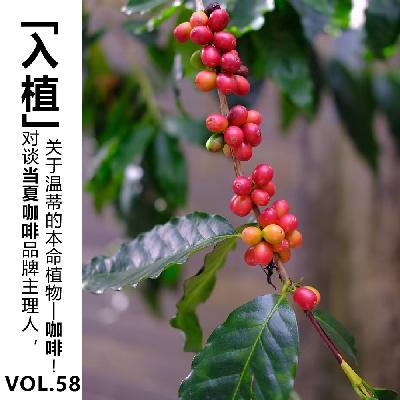 Vol.58【入植】对谈当夏咖啡品牌主理人，关于温蒂的本命植物—咖啡
