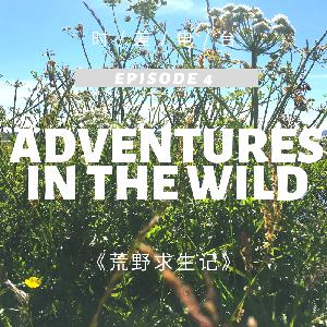 【RJL 2-4】荒野求生记