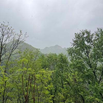 终南山雨天道长聊《节卦》与老子的“治人事天莫嘚瑟！”