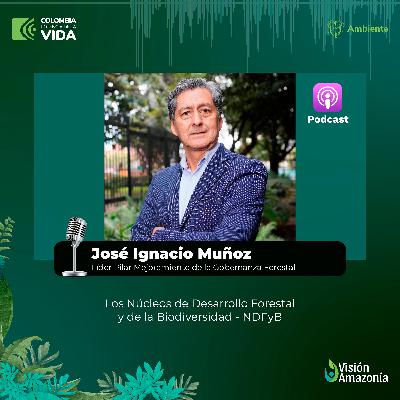 Avances NDFyB - José Ignacio Muñoz