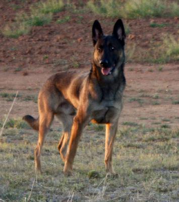 The Eudoris® Brand (New World)