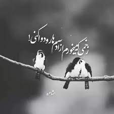 03-Ahmad-Solo-Adam-Ashegh