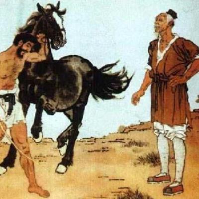 The Old Man and The Horse