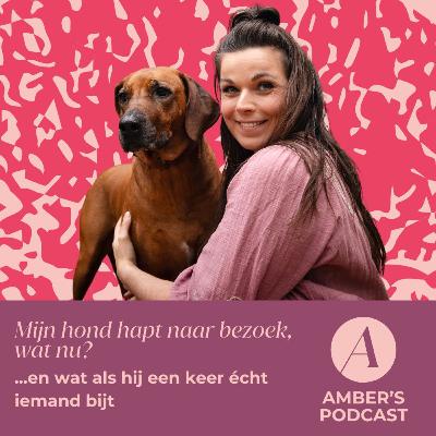 Mijn hond hapt naar bezoek, wat nu? En wat als hij een keer écht iemand bijt #199 Mijn hond hapt naar bezoek, wat nu? En wat als hij een keer écht iemand bijt #199